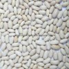 White Beans-Baishake