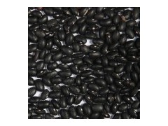 Black Bean (BKB)