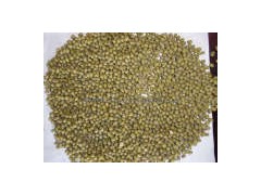 Crop Green Mung Beans (3.5mm) (GMB)