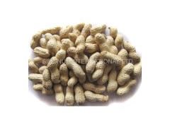 Peanuts in Shell