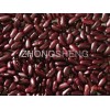 red kidney bean