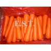 fresh carrot 2012