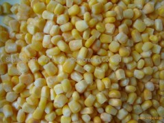 Frozen sweet corn kernels