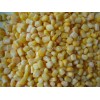 Frozen sweet corn kernels