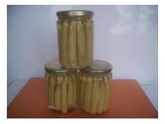 canned stringless green bean