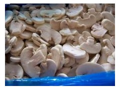 IQF frozen white mushroom sliced