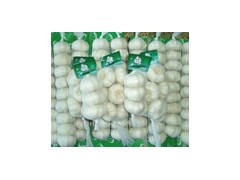 garlic from shandong