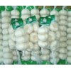 garlic from shandong