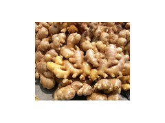 Ginger from Shandong