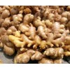 Ginger from Shandong