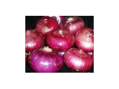 Onion from Shandong
