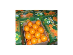 Navel Orange