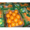 Navel Orange