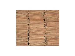 chinese cassia stick