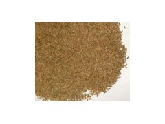 Cumin Seeds