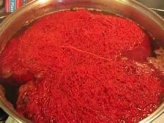 Cochineal (Dactylopius coccus)