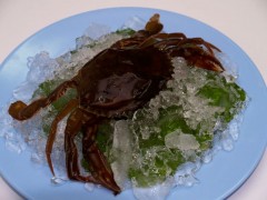 Frozen Soft Shell Crab