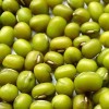 Organic green mung bean