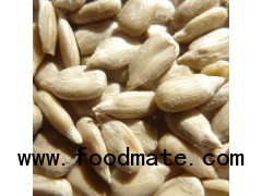 organic sunflower kernel