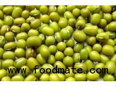 organic mungbean