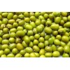 organic mungbean