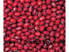 organic adzuki bean