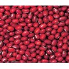 organic adzuki bean