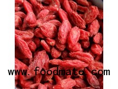 Organic Dried Goji Berry