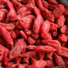 Organic Dried Goji Berry