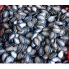 Best Black Chinese watermelon seeds