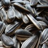 The Best Black Sunflower Seeds