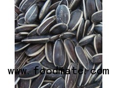 The Best Black Sunflower Seeds 909