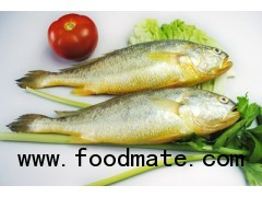 Frozen Fresh Small Yellow Croaker