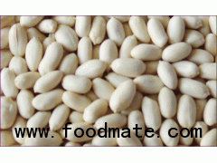 New crop blanched peanut kernels