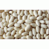 New crop blanched peanut kernels