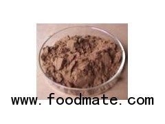 Olive Leaf Powder Extract