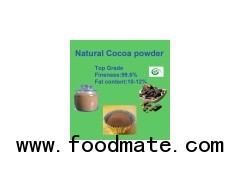 Unsweetened top garde natural cocoa powder