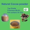 Unsweetened top garde natural cocoa powder