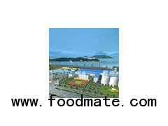 Large Edible Oil Refinery Machine