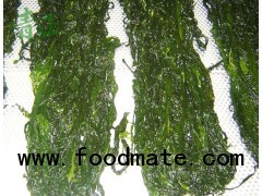 Frozen Wakame