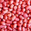Round Dark Red Skin Peanut Kernels