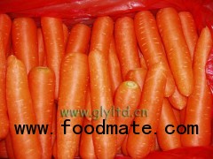 fresh carrot
