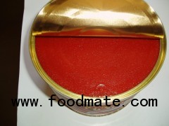 canned tomato paste