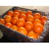 fresh navel orange