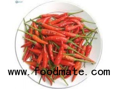 Fresh Chili from Vietnam