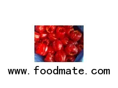 New Crops Frozen Red Pepper Whole