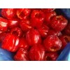 New Crops Frozen Red Pepper Whole