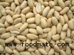 Blanched peanut kernel