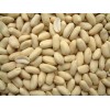 Blanched peanut kernel