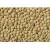 2012 crop Green lentils